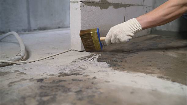 Top rated local Interior Drainage System specialists in Union Gap, WA